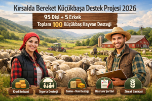 Kırsalda Bereket Küçükbaşa Destek Projesi: Şartlar Neler?
